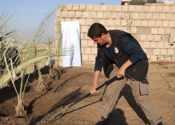 مشروع تعزيز الواقع الخدمي والبيئي لمدينة الموصل